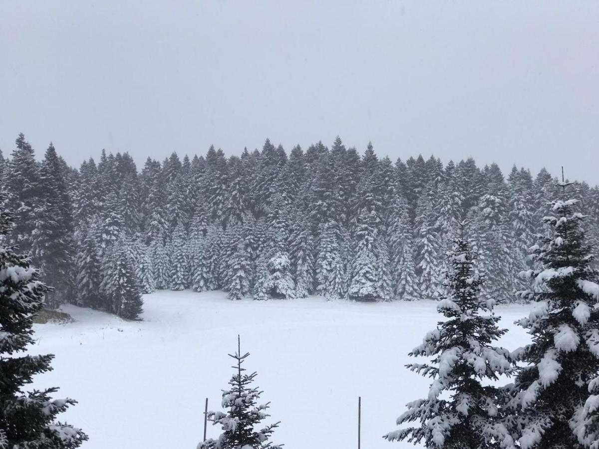 Elifim Resort Hotel Bolu Exteriör bild