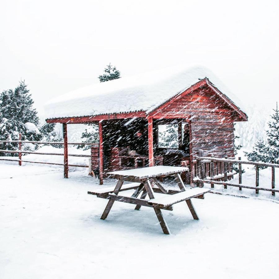 Elifim Resort Hotel Bolu Exteriör bild