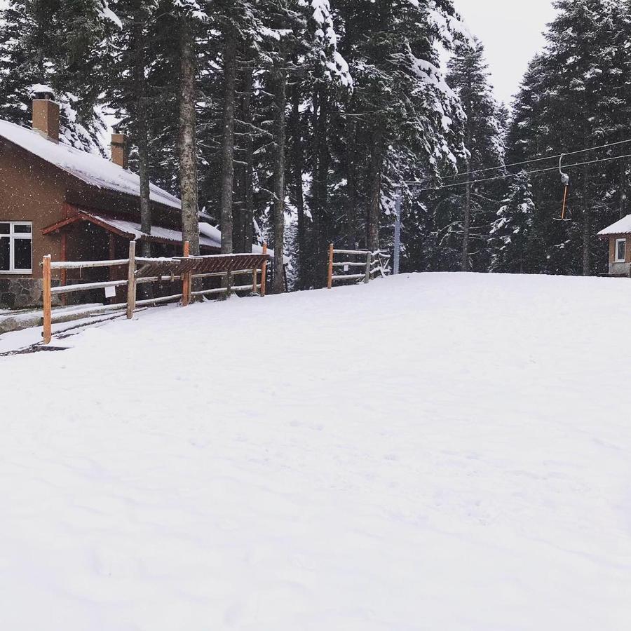 Elifim Resort Hotel Bolu Exteriör bild