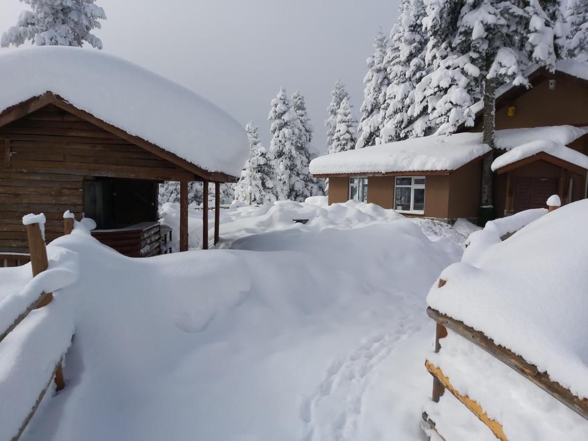 Elifim Resort Hotel Bolu Exteriör bild