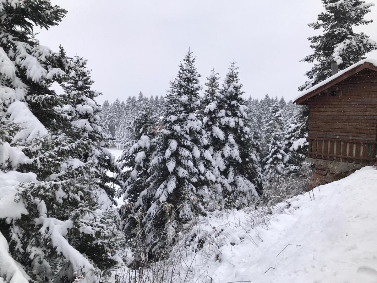 Elifim Resort Hotel Bolu Exteriör bild
